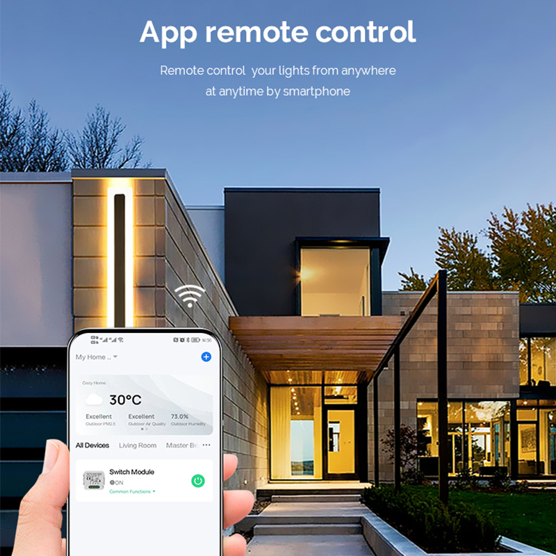 Módulo de Interruptor Intelige - Smart Home Voice Assistant reseña y precio