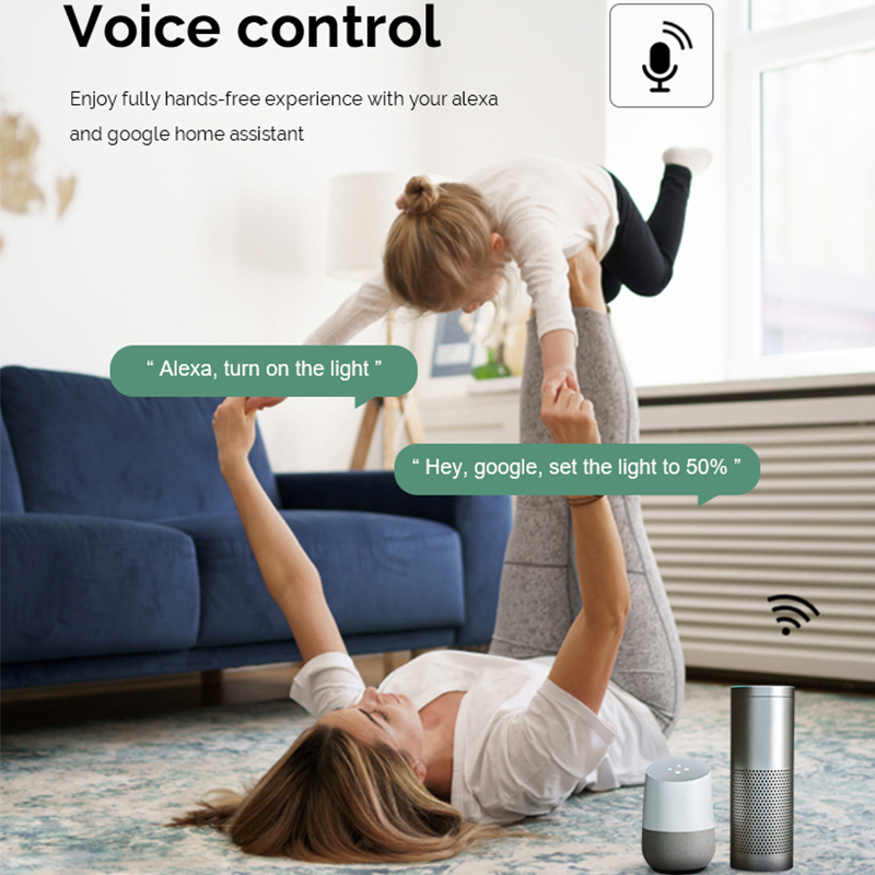 Módulo de Interruptor Intelige - Smart Home Voice Assistant reseña y precio