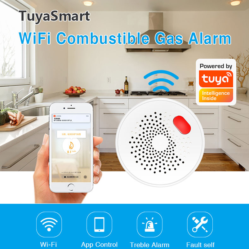 Sensor de Gas Natural Wifi 2.4 - Smart Home Europe reseña y precio