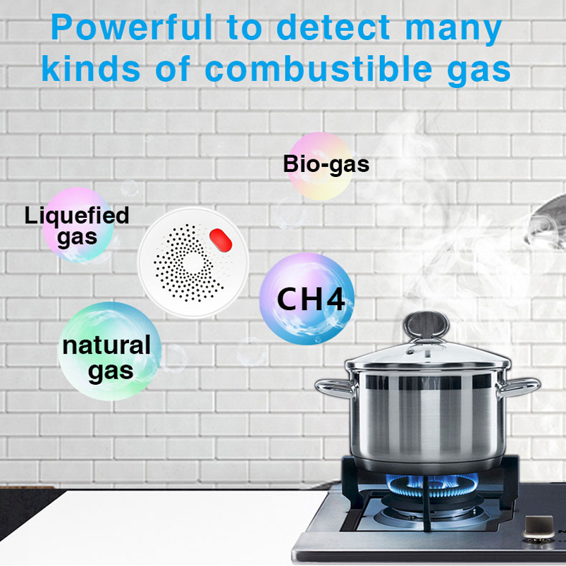 Sensor de Gas Natural Wifi 2.4 - Smart Home Europe reseña y precio