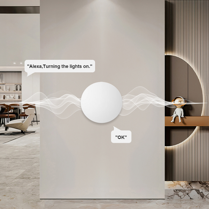 Interruptor de Escena Inalámbr - Smart Home Voice Assistant reseña y precio