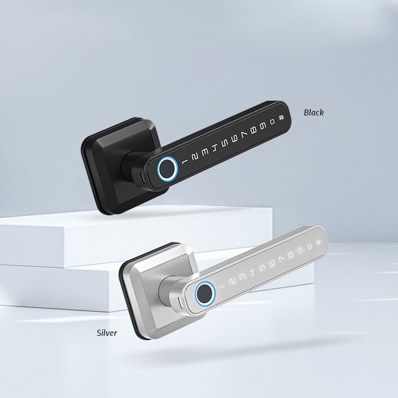Cerradura Inteligente con Huel - Smart Home Europe reseña y precio