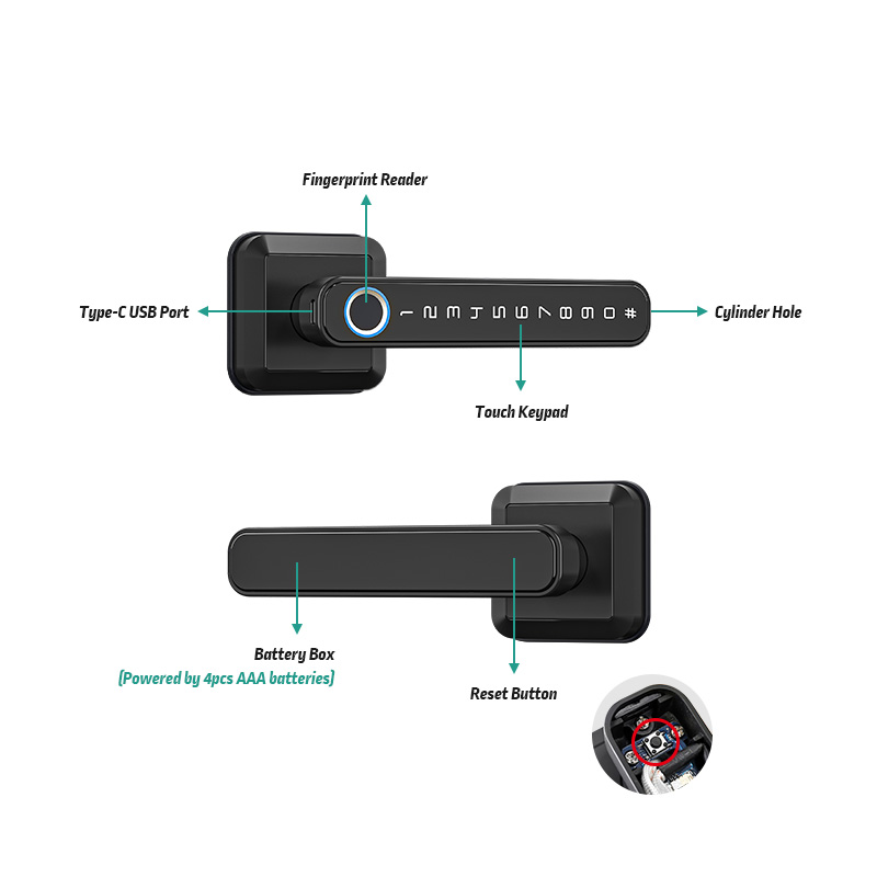 Cerradura Inteligente con Huel - Smart Home Europe reseña y precio