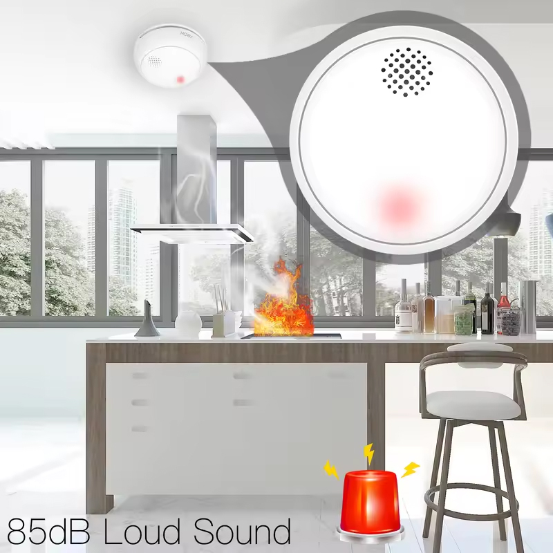 MOES ZigBee-Detector de humo i - Smart Home Moes reseña y precio