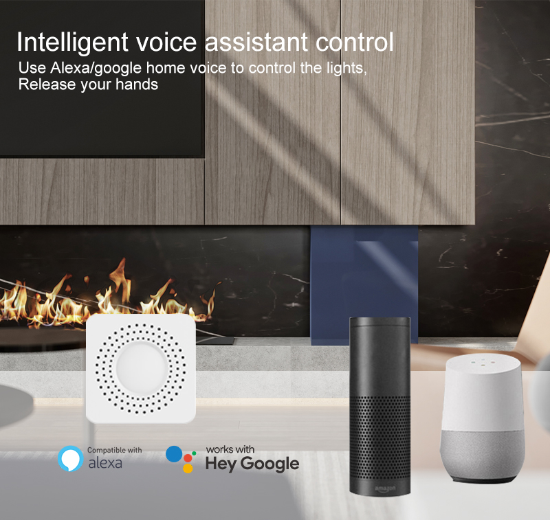 Interruptor Inteligente Mini T - Smart Home Voice Assistant reseña y precio