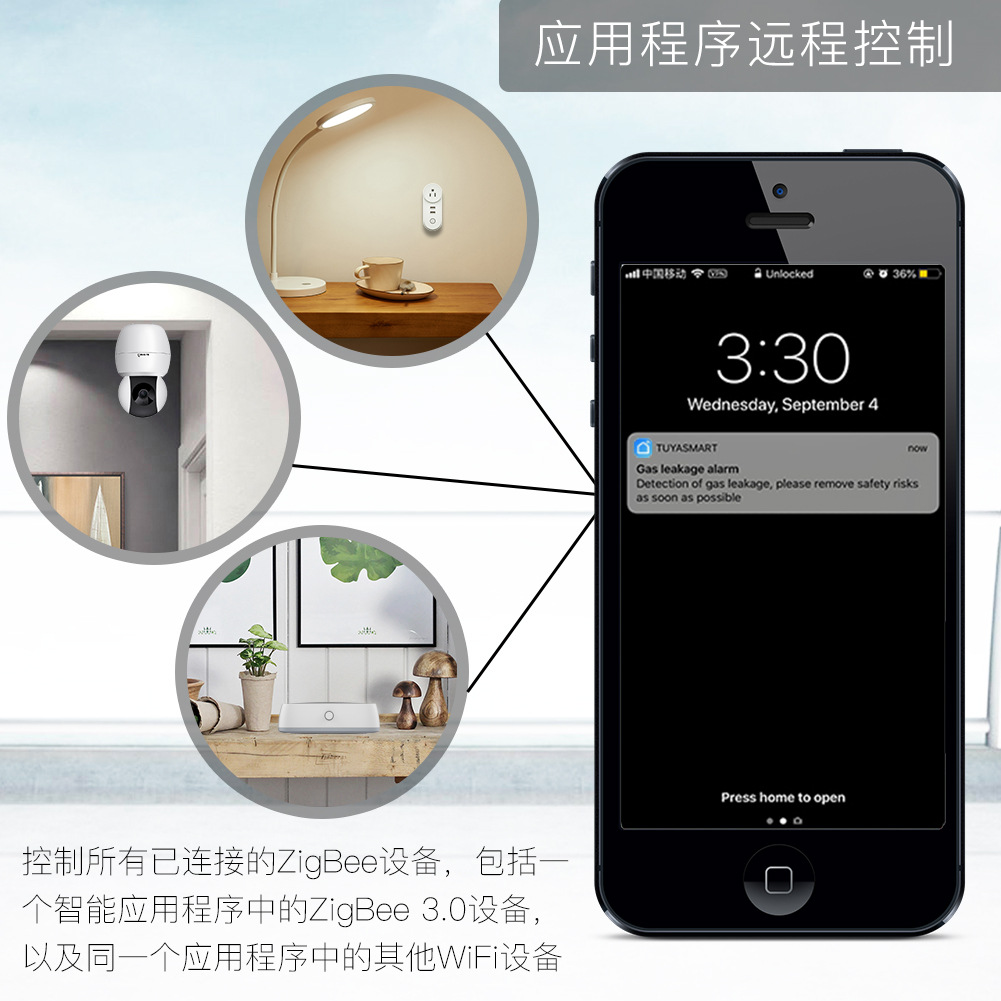 ZigBee Doodle Smart Home Gatew - Smart Home Mod reseña y precio